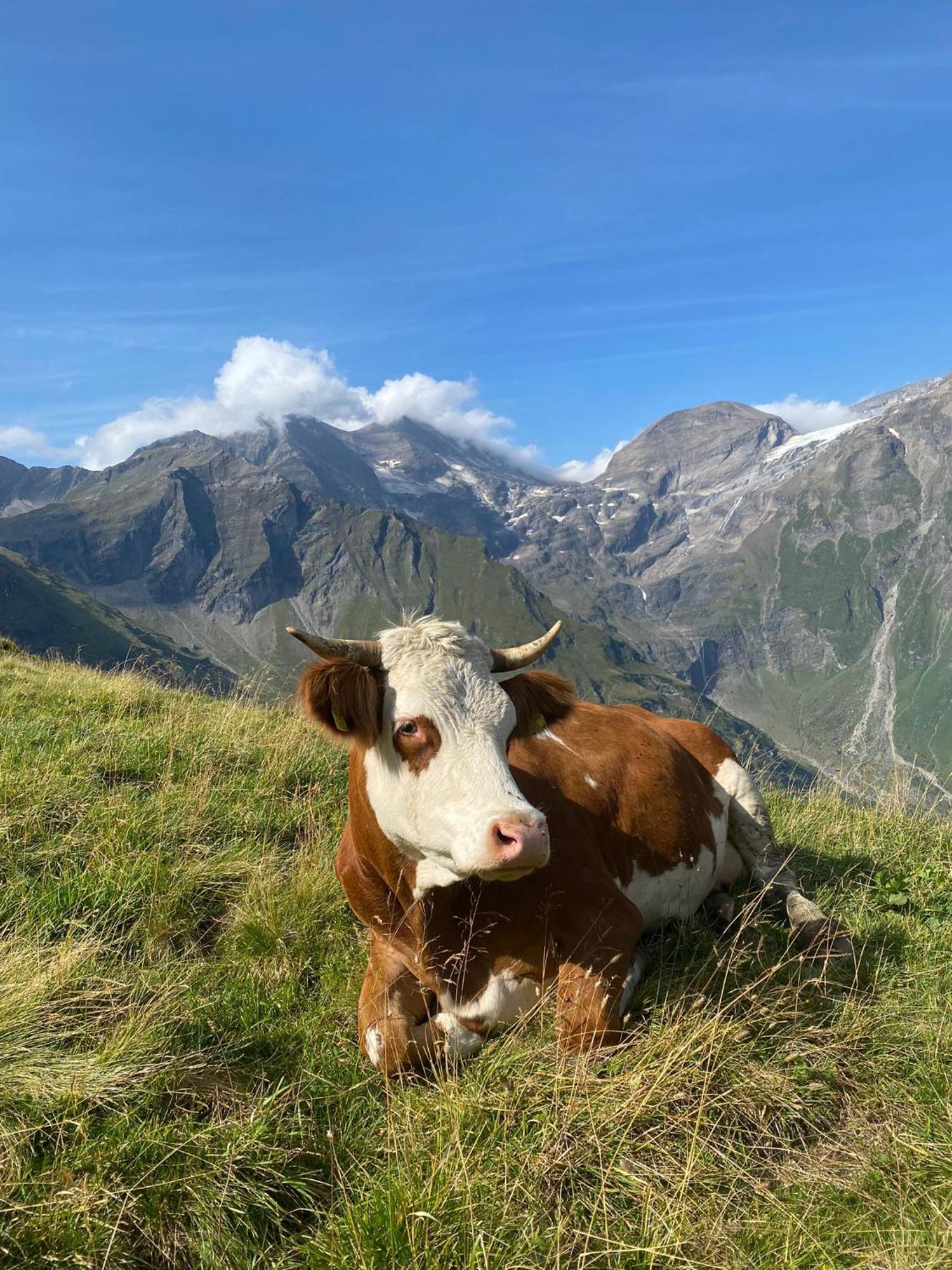 Vila Hirzbachgut Fusch an der Grossglocknerstrasse Exteriér fotografie